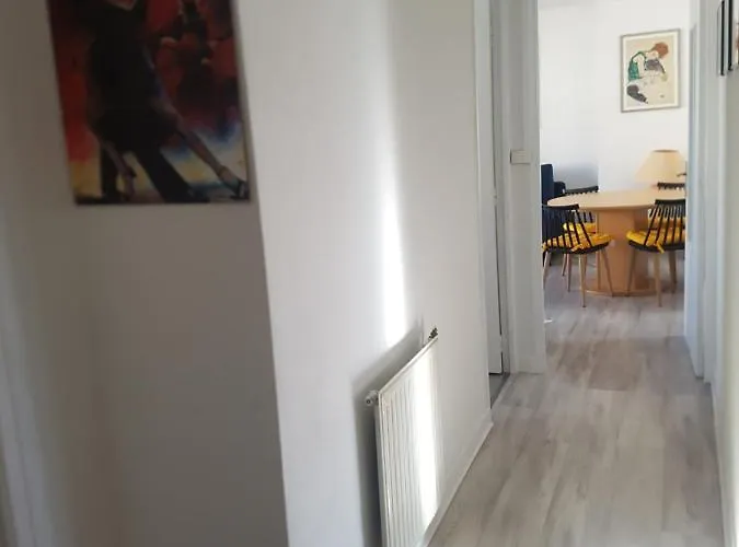 Entier - T4 Hypercentre Dans Rue Calme - Stationnement Gratuit Tarbes